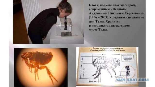 Анунахи ?