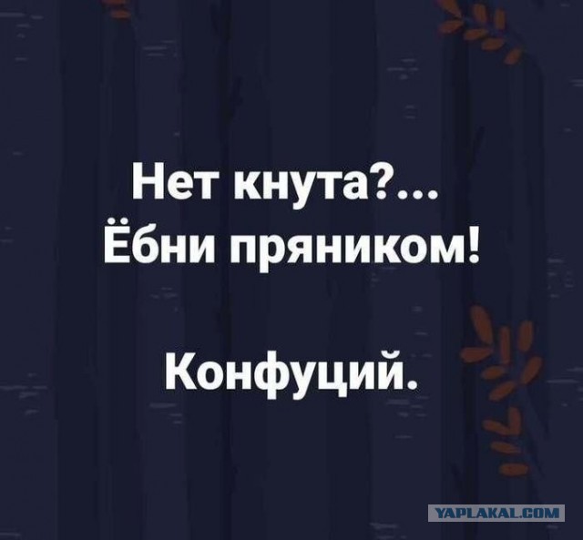 Веселое настроение в картинках 18.08.26