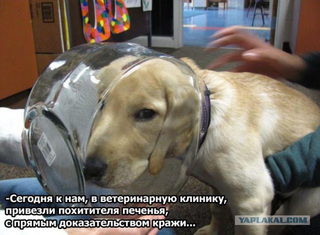 Свежие картинки из сети