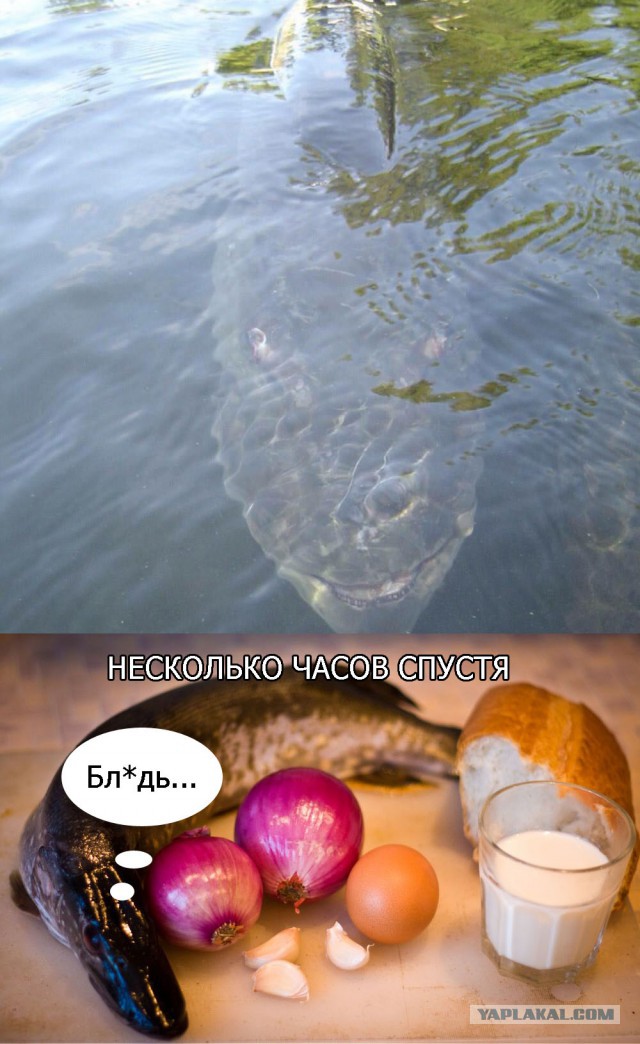 Фигасе...