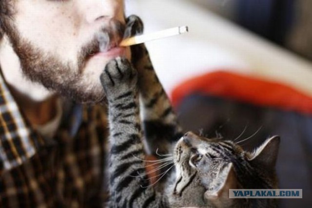 Запретили продажу сигарет в магазинах