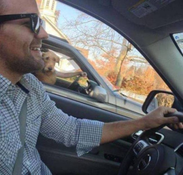 Подборка картинок 02.03.16