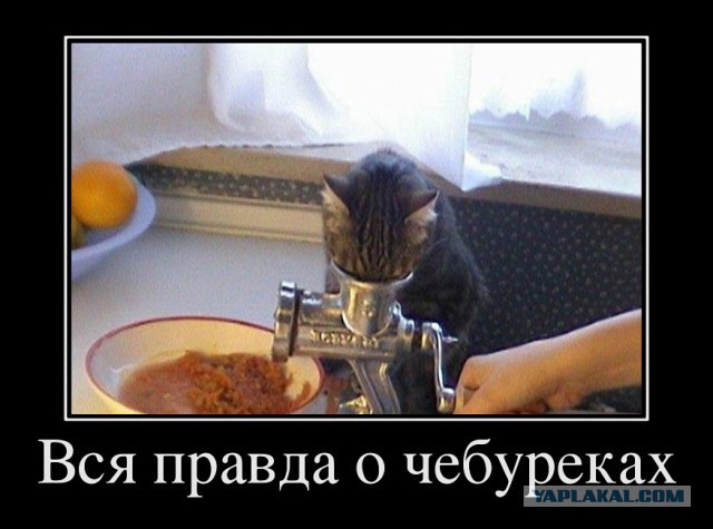 Подборка за неделю