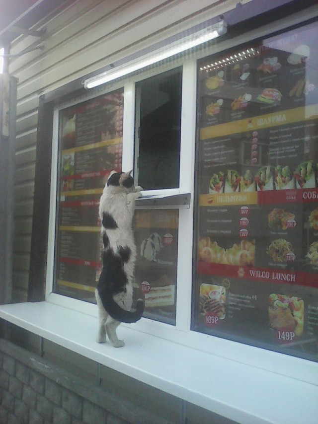 Подборка интересных и смешных картинок