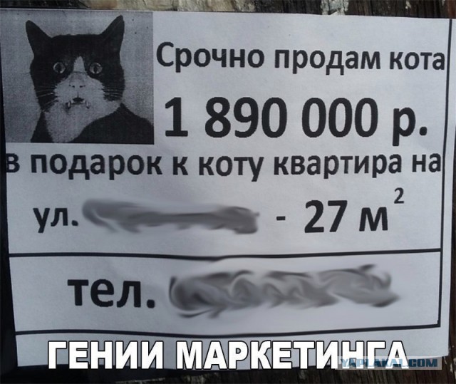 Картинки всякие для поднятия настроения