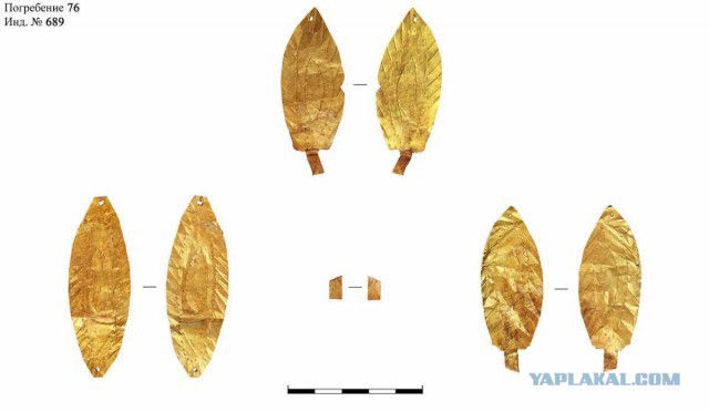 Под Севастополем археологи нашли новое «скифское золото»