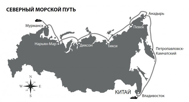 Коровы
