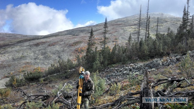 Командировка. В леса