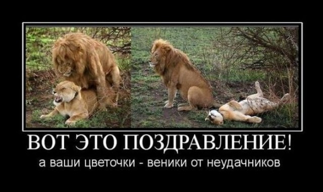 Зажмотился на цветы