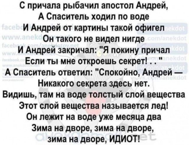 Бредзона 11.02.2020