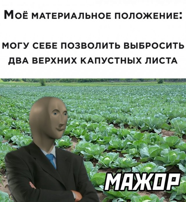 Немного картинок для настроения 05.11.20
