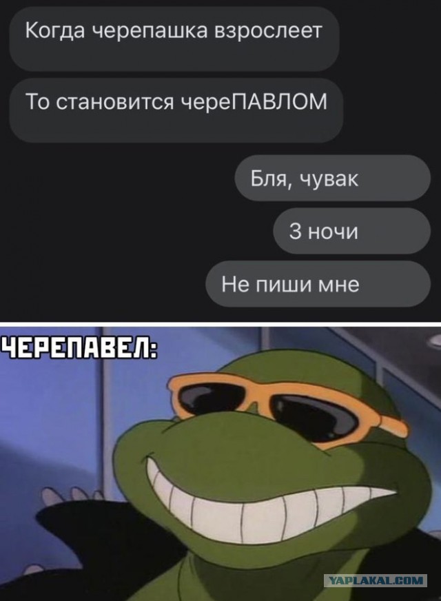 Весёлый полтишок 5.07