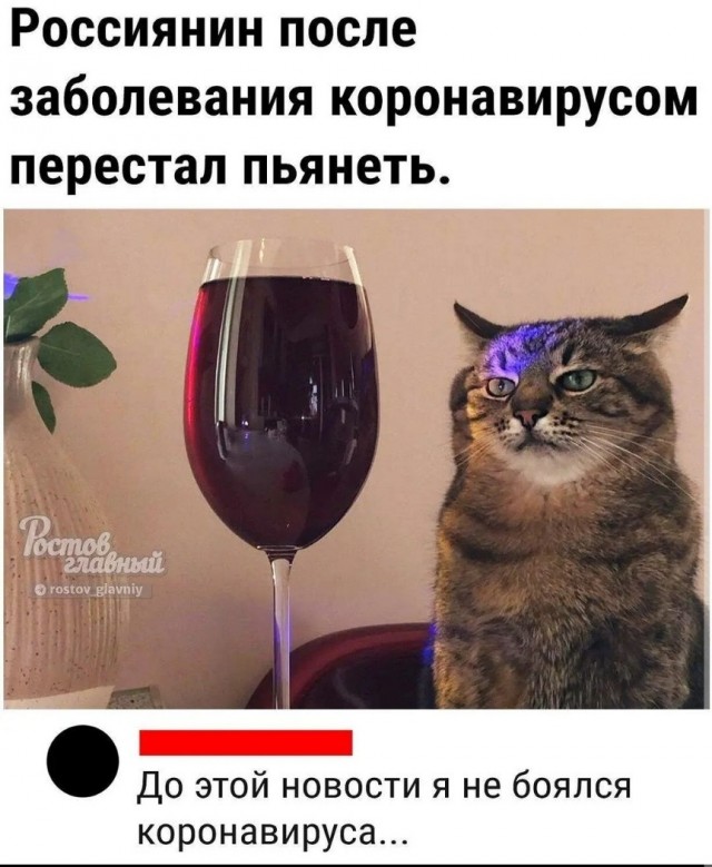 Пандемия. Коронавирус. Россия и мир. Последняя информация. Часть 27