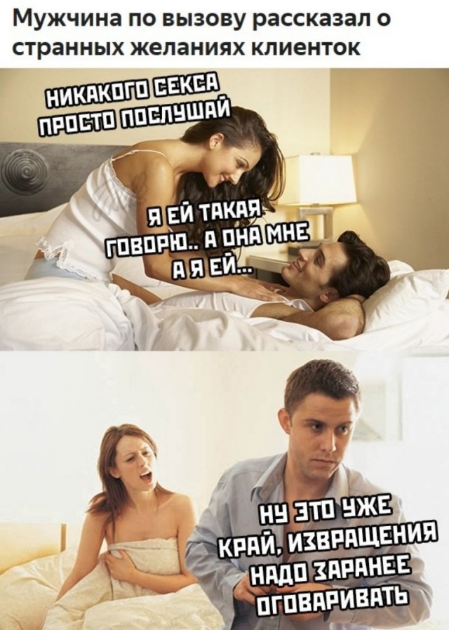 16237499.jpg