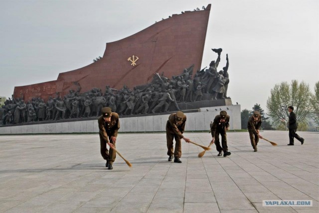 Северная Корея "в цвете"