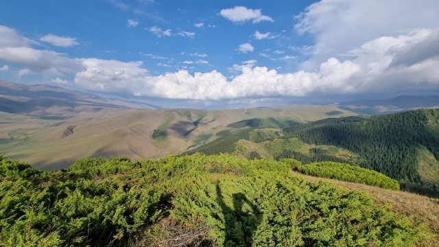 Кулинарная общалка