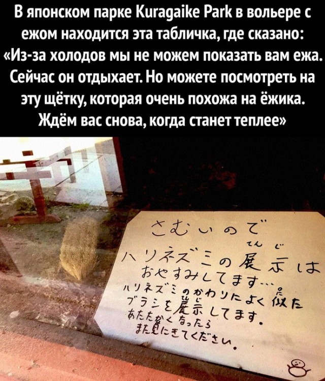 Картинки и мемы для настроения - 119