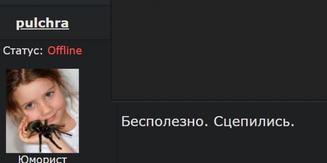 Победная поступь идиотизма по планете – том 2