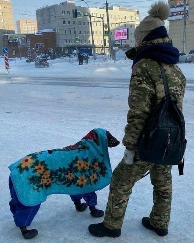 Необычные картинки