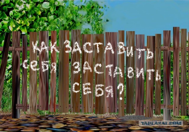 Веселые буквы
