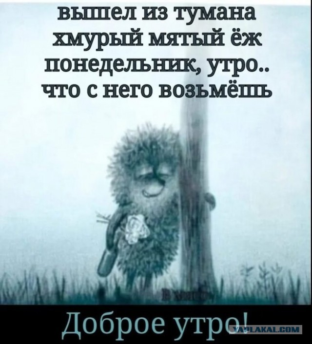 Сказочницы и наставницы: какой тип Тещи — самый опасный для зятя
