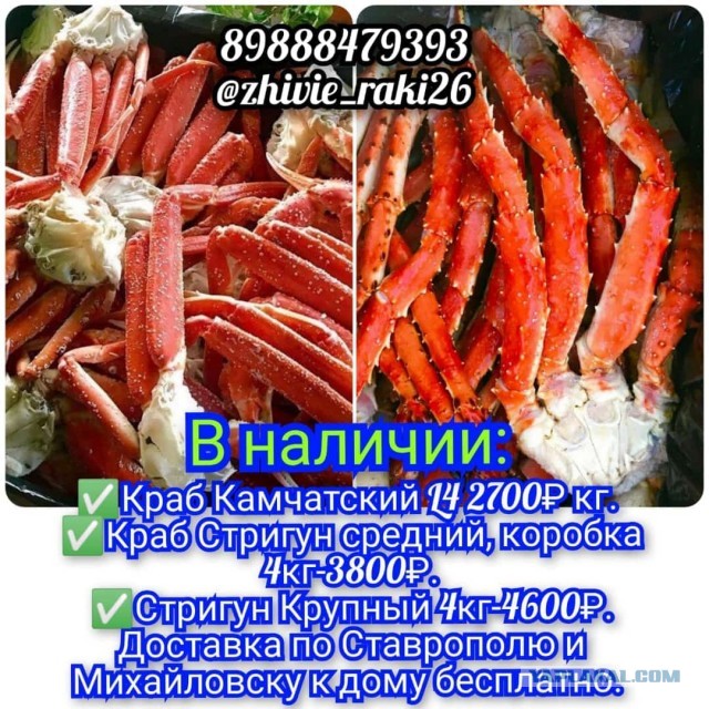 Крабы подешевели и сравнялись по стоимости с раками в России