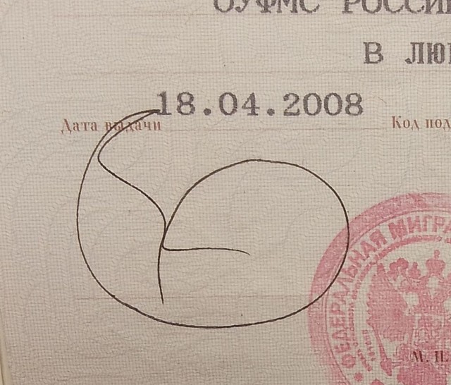 ЦИК посчитал странной подпись котиком участника инициативной группы Екатерины Дунцовой