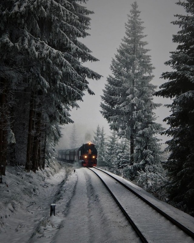 Фотосмесь 23.01.24