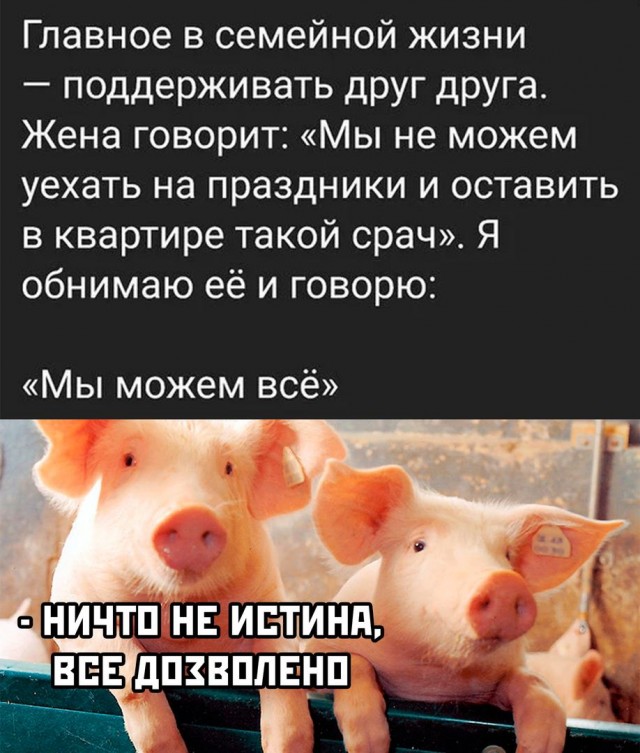 Забавные комментарии из социальных сетей (12.02.24)
