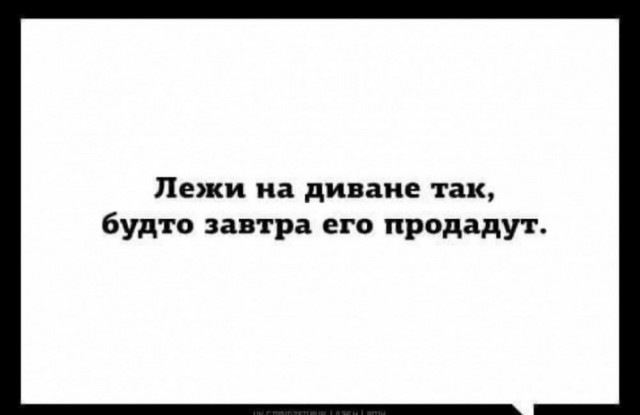 Немного забавных картинок от 13.10.2024