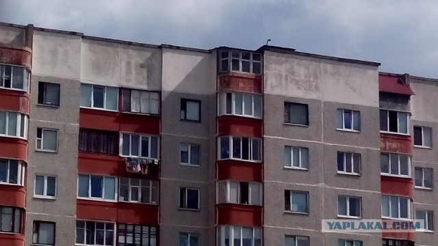 Белорусские кайфушки