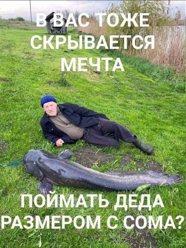 Крепость сдается?