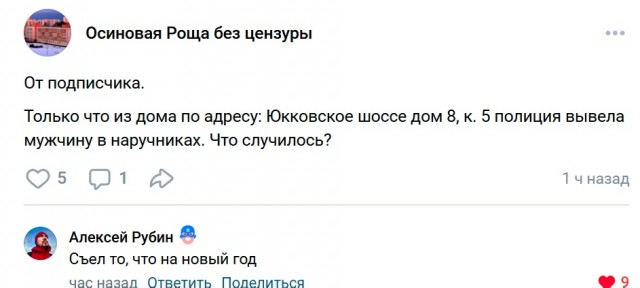 Весёлый полтишок 31.12.24