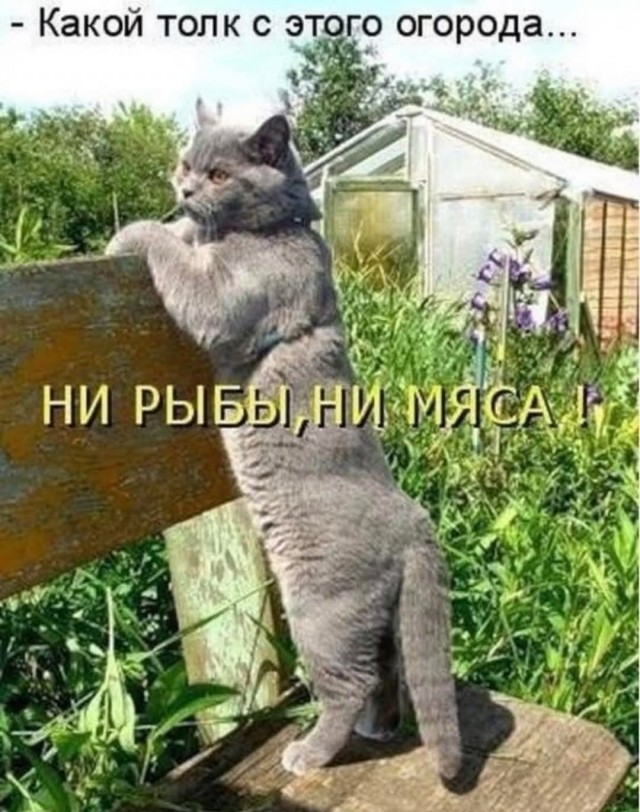 Маленькая пятница 12.02.25