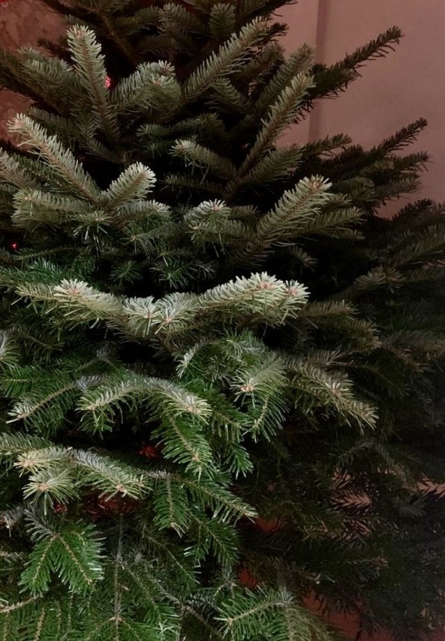 Грустная, но красивая история