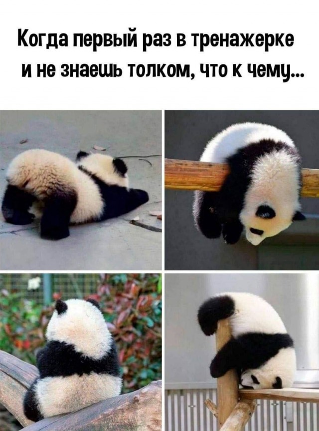 Картинки разные с надписями и без