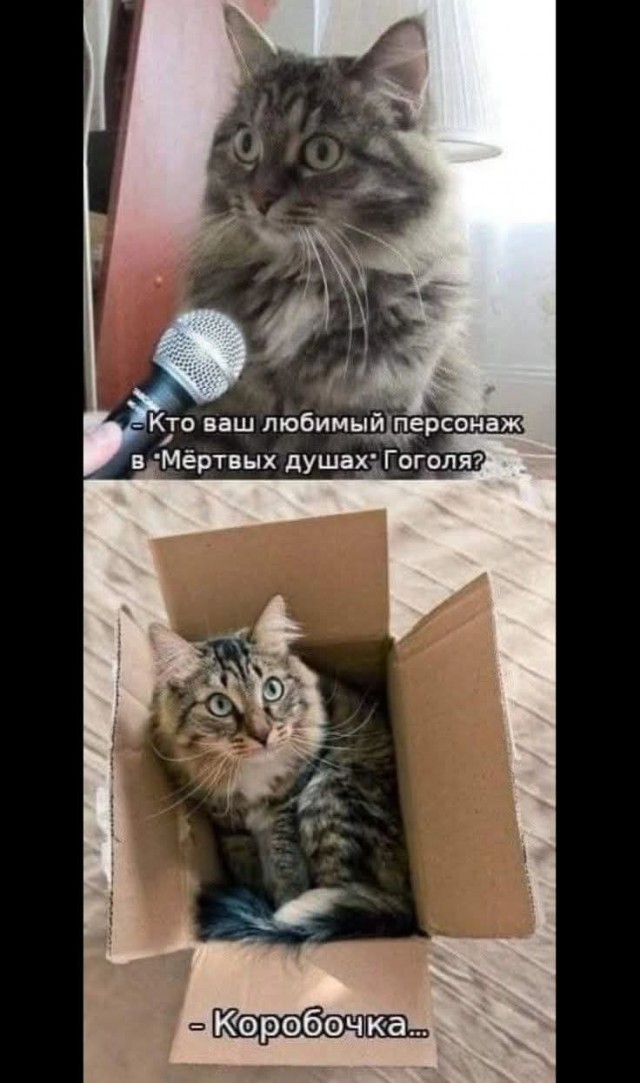 From the archives. Часть первая.