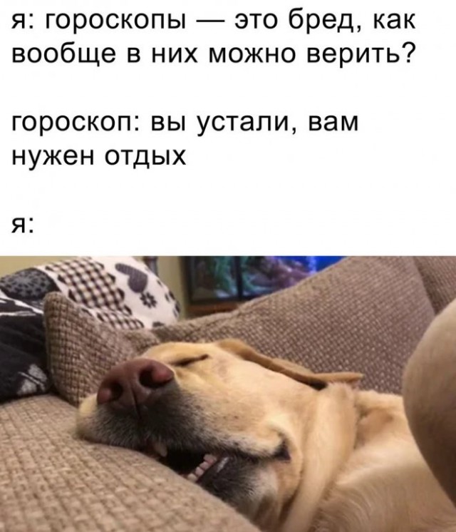 Веселые картинки в пятницу (23.05)