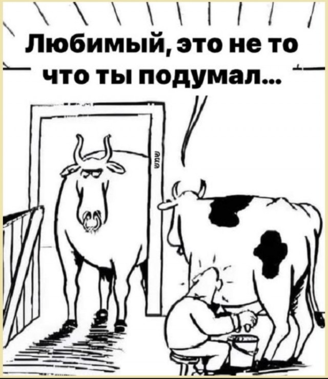 Завалялось тут случайно немного забавных картинок