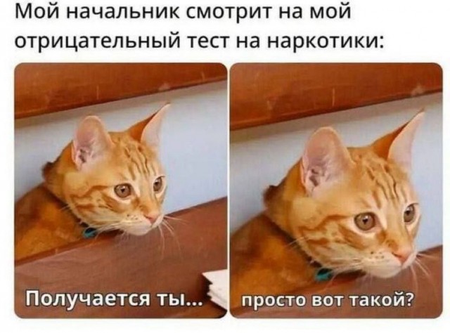 А не забыли ли мы все...