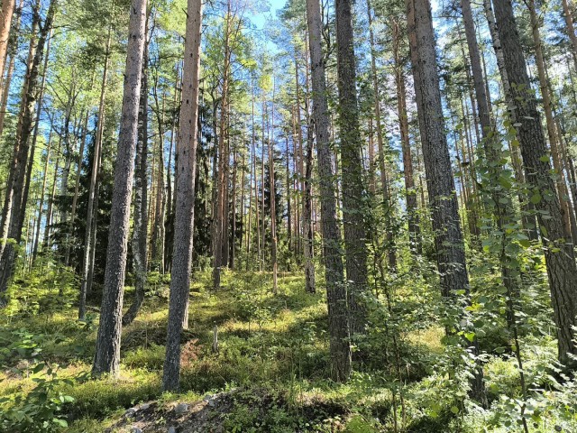 Осень