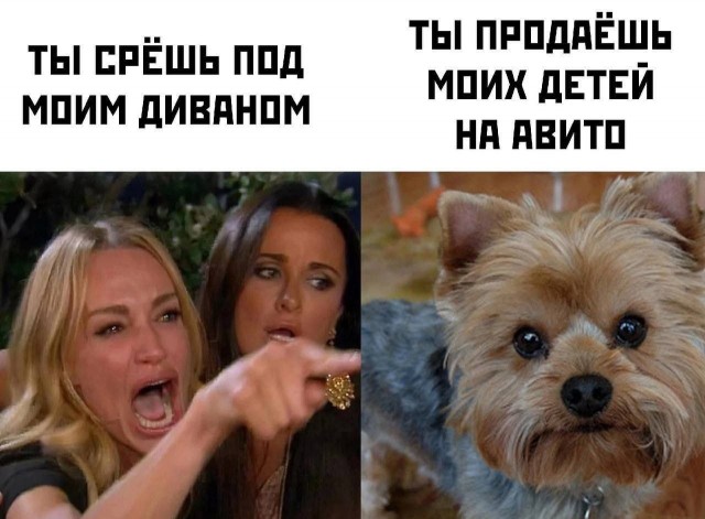 Картинки для деградации 93 (разной степени свежести)