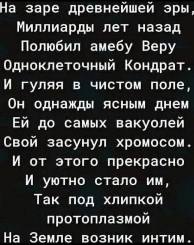 Так себе картинки 07.12.25