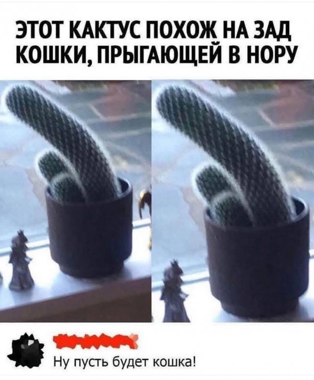 Забавные и не очень скромные картинки - 21