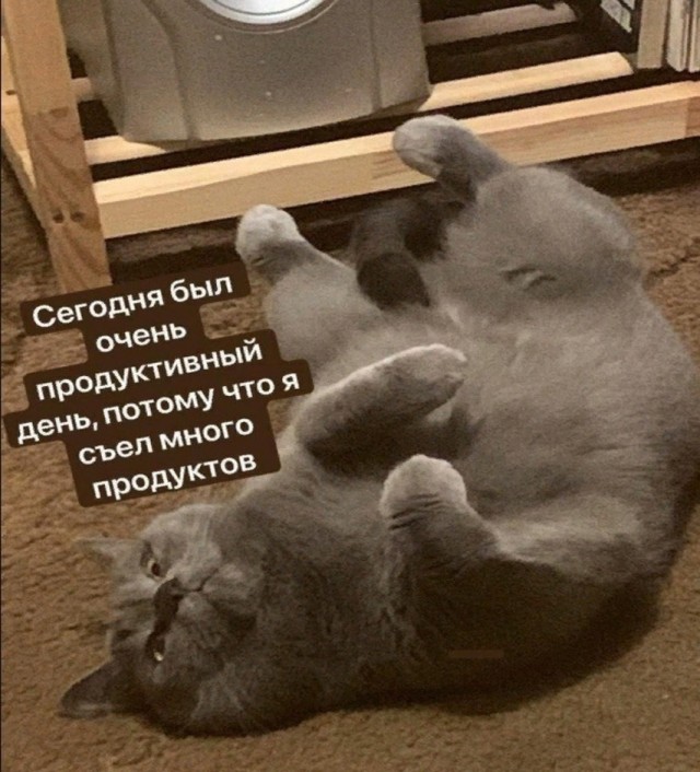 Пятницы картинки
