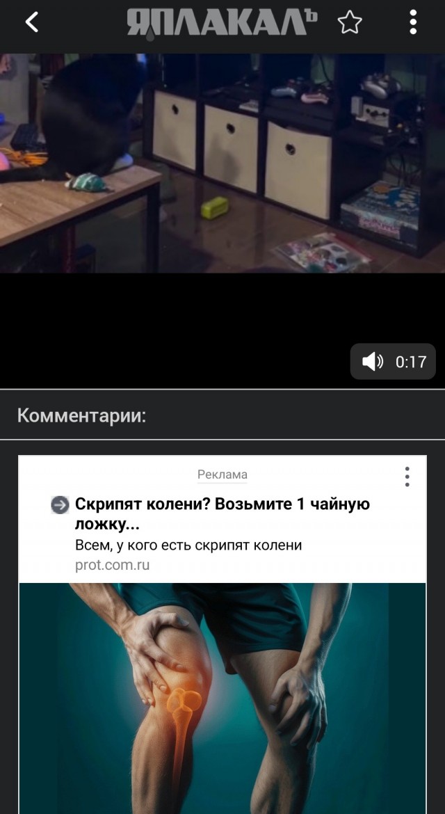 Вышла видеоинструкция по танцам для котов