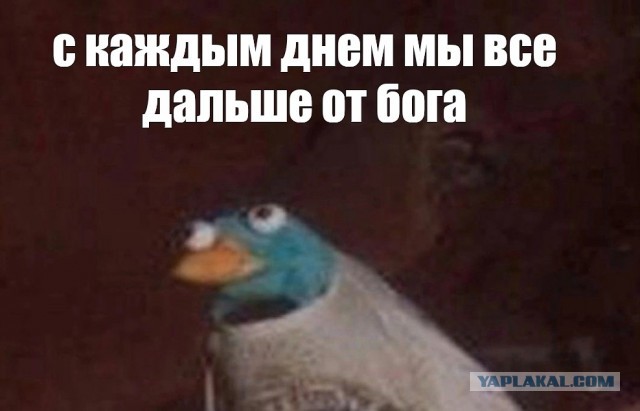 Пизд@воронка