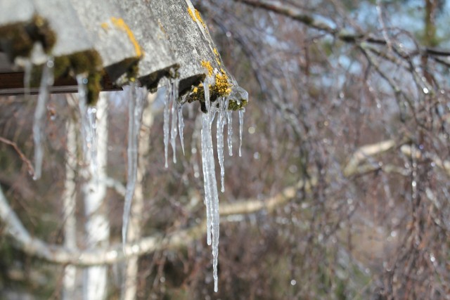 Ледяной дождь 03.05.24 (Лен.обл)