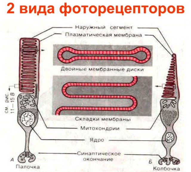 Ну нас всё устраивает, мы берём дом
