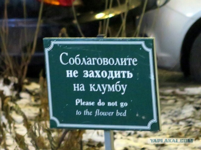 По газонам нельзя ходить и они существуют не для людей?